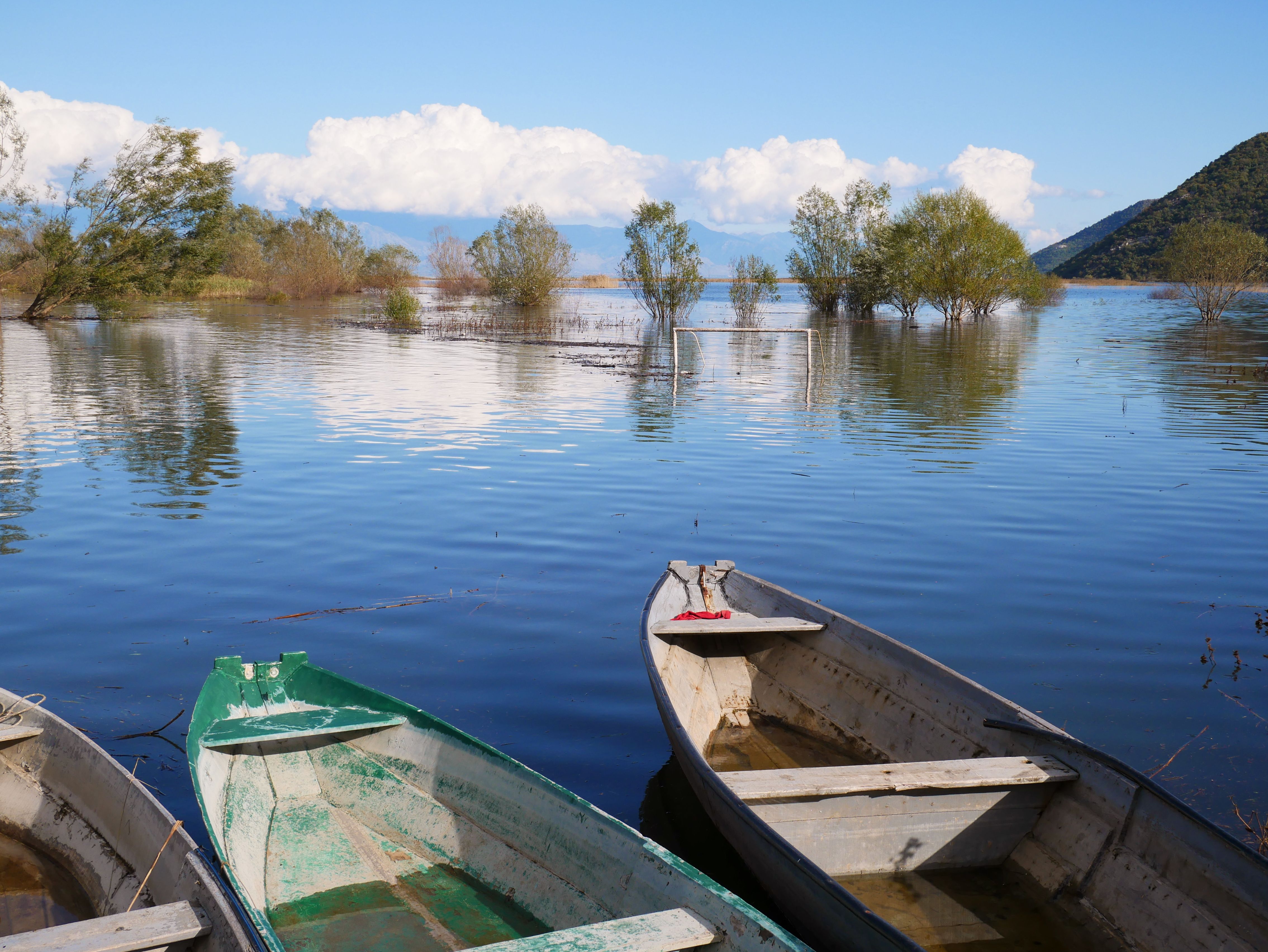 Day Two: Cycling and Lake Shkodër