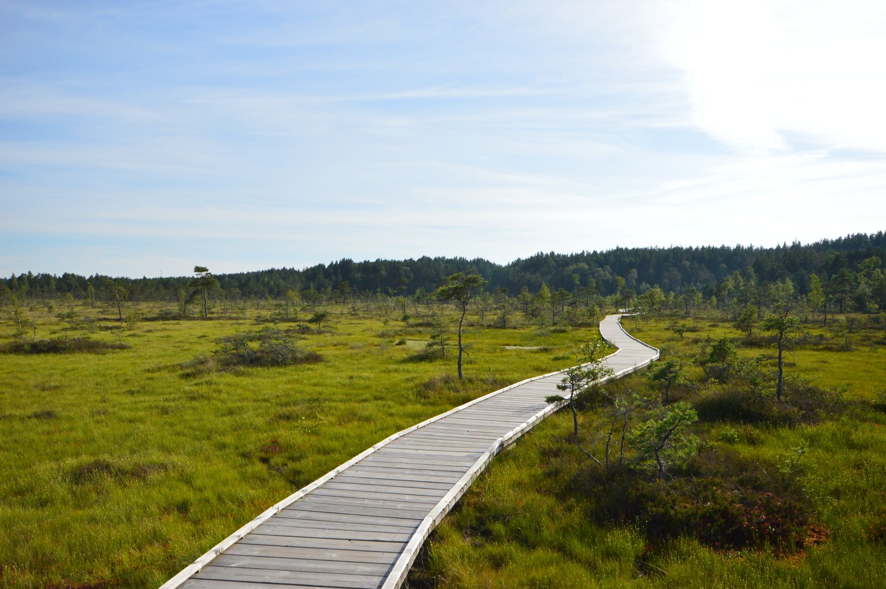 Jägala Waterfall Day Trip from Tallinn: Estonia's Top Winter & Summer Guide