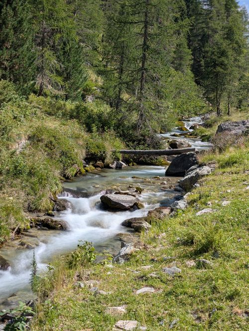 Free A tranquil mountain stream flows through lush green forested landscape. Stock Photo