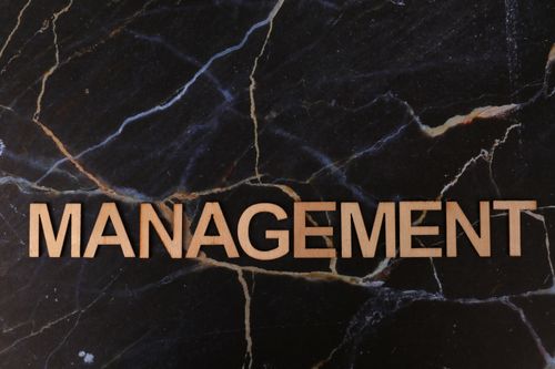 Free Wooden letters spelling 'Management' on black marble background with golden veins. Stock Photo
