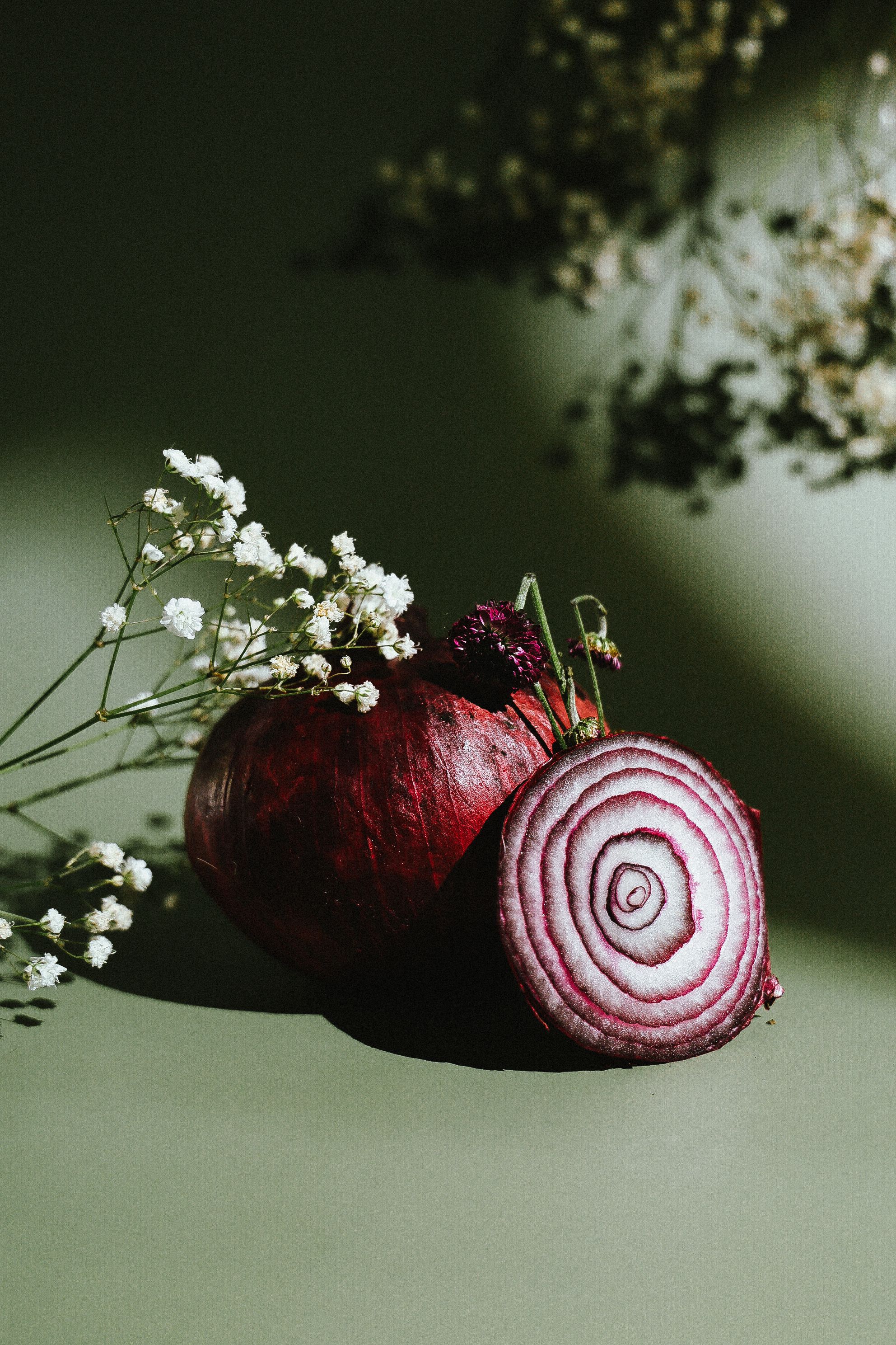 A beautifully arranged still life featuring a red onion paired with delicate white flowers.