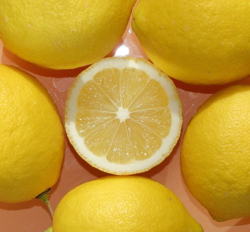 Free Close-up of fresh lemons arranged on a bright surface, showcasing vivid yellow tones. Stock Photo