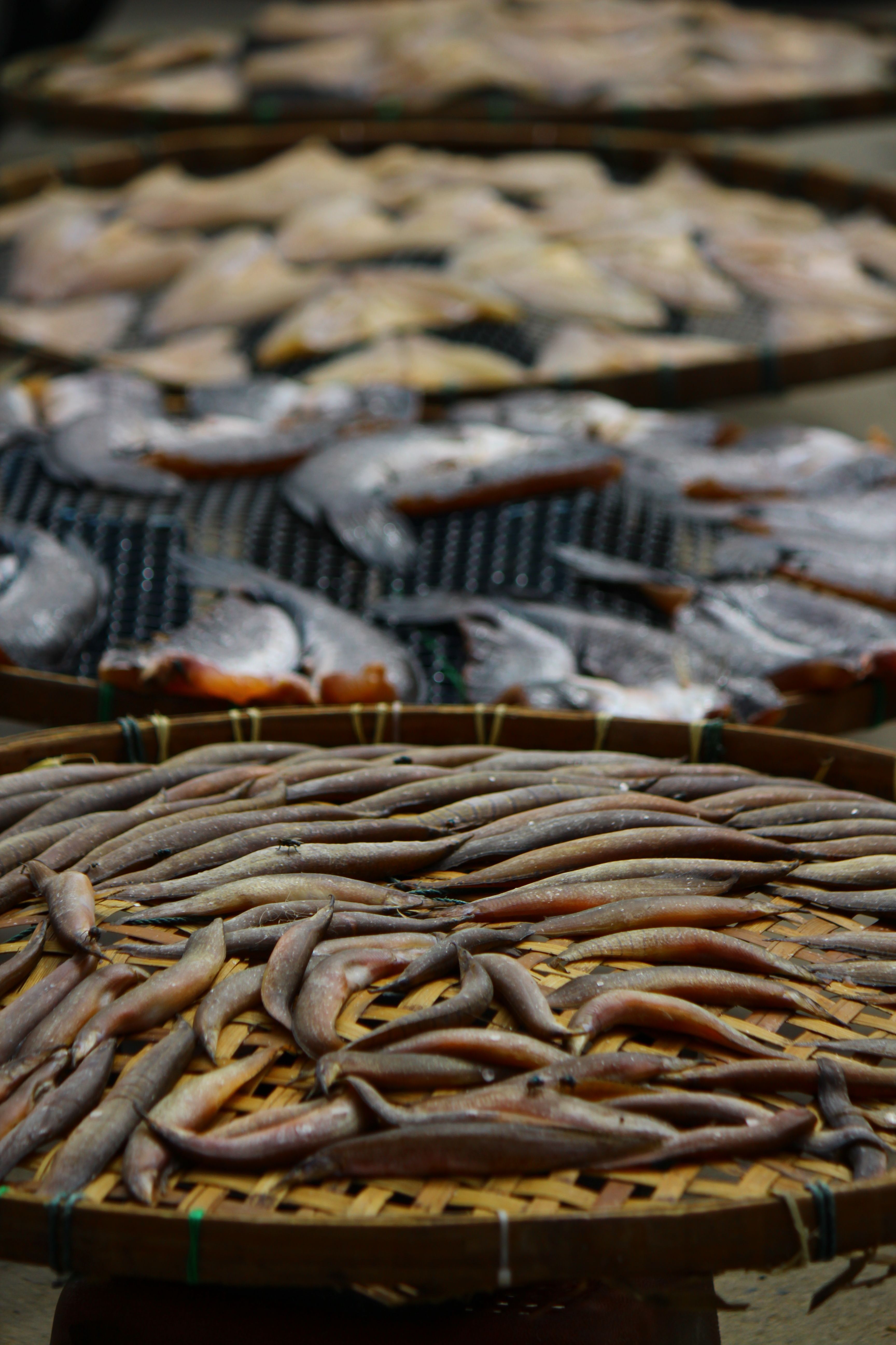 Dried Fish on Traditional Bamboo Trays