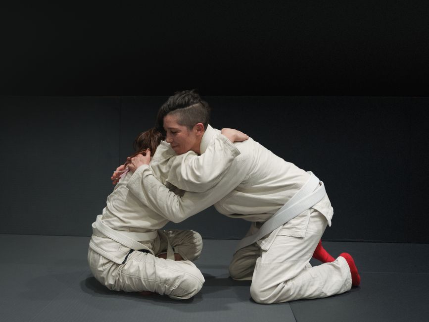 Best Brazilian Jiu Jitsu Instructional Videos (2026 Guide)