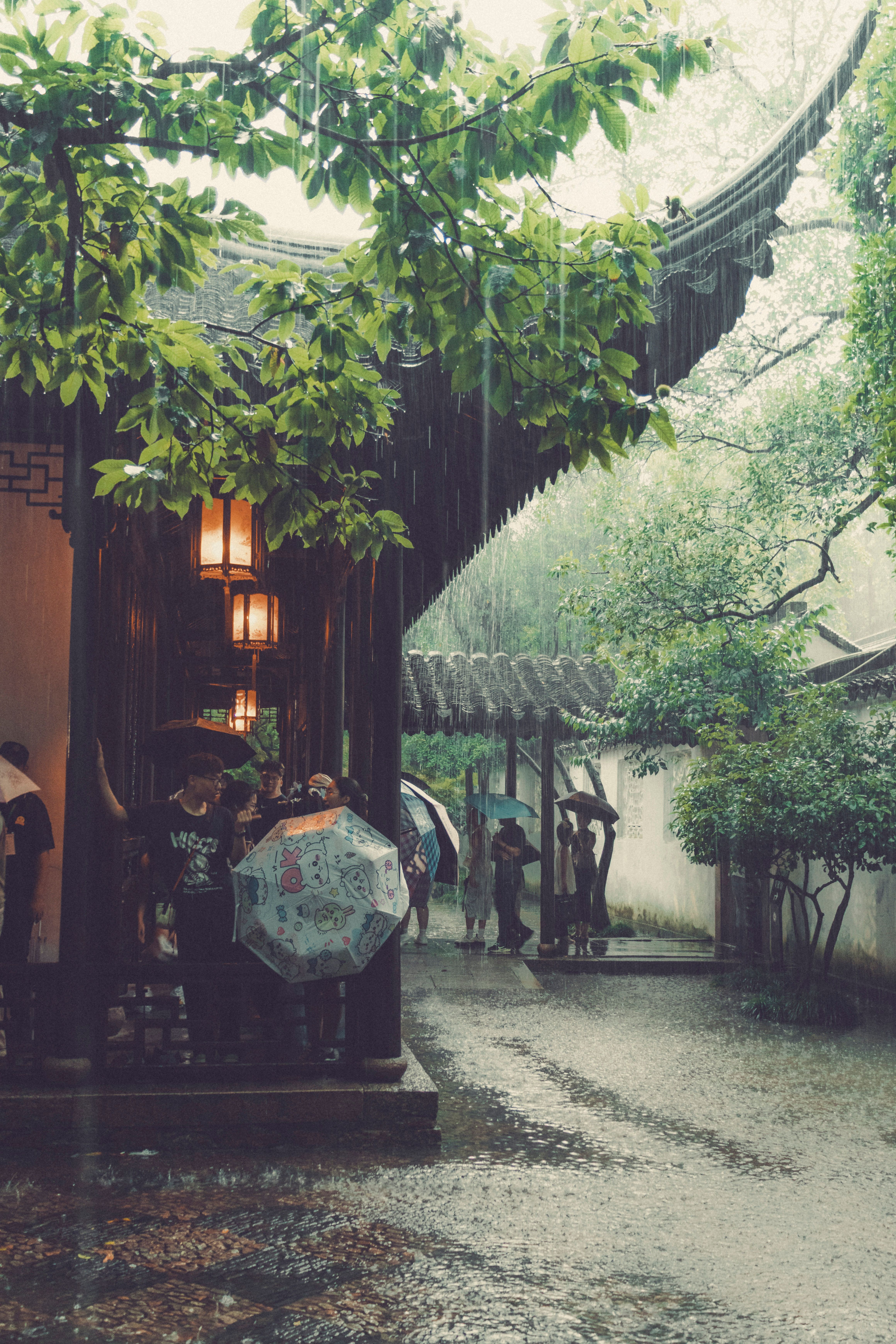 People with umbrellas walk through a serene Asian garden in the rain, evoking tranquility.