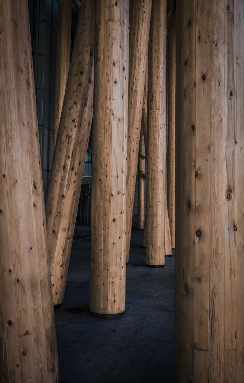 Detalhe de colunas de madeira em projeto