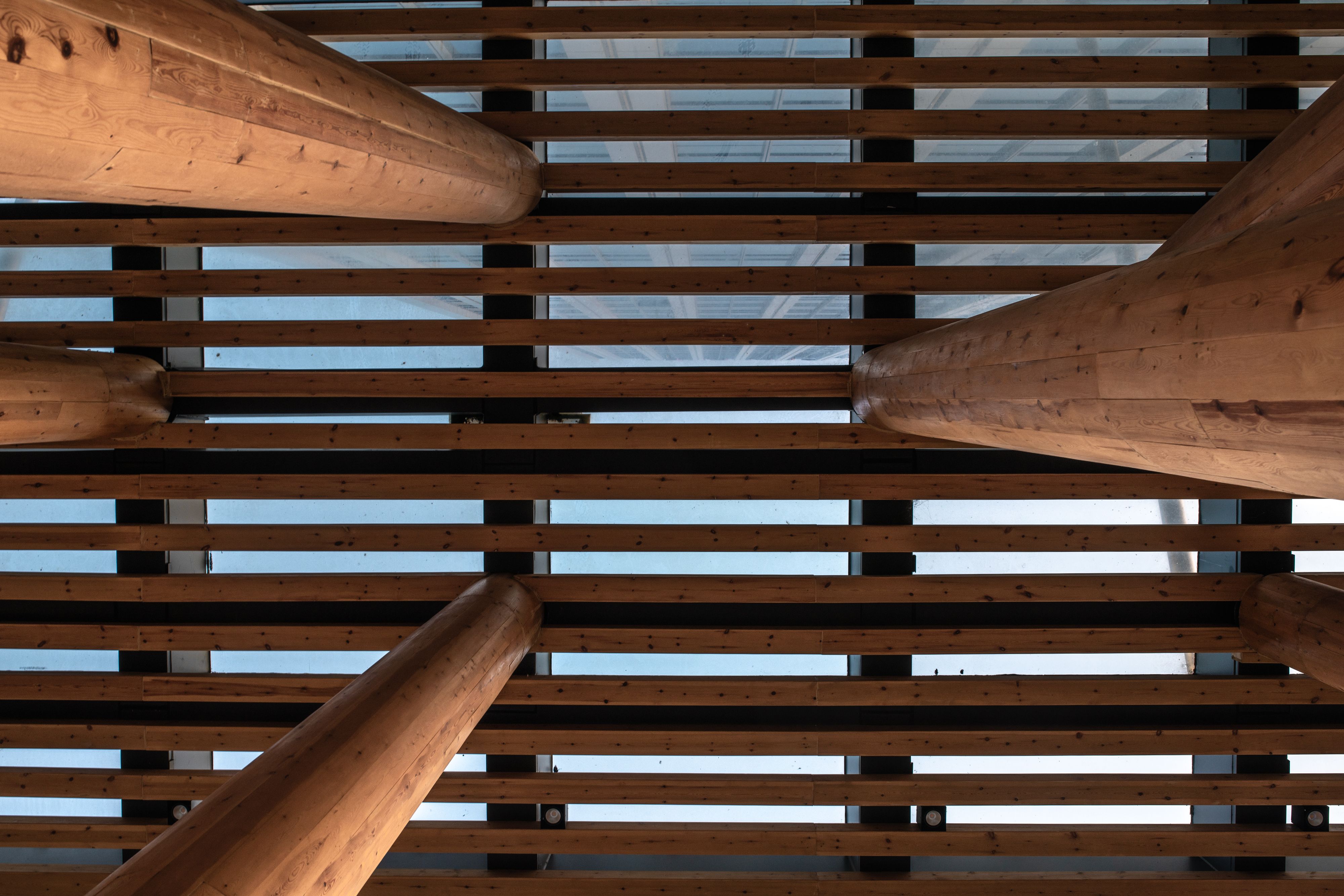 Advanced Certificate in Structural Timber Engineering