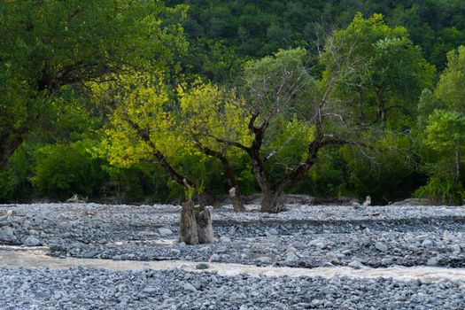 Tranquil riverbed with lush trees and flowing water in Oghuz, Azerbaijan.