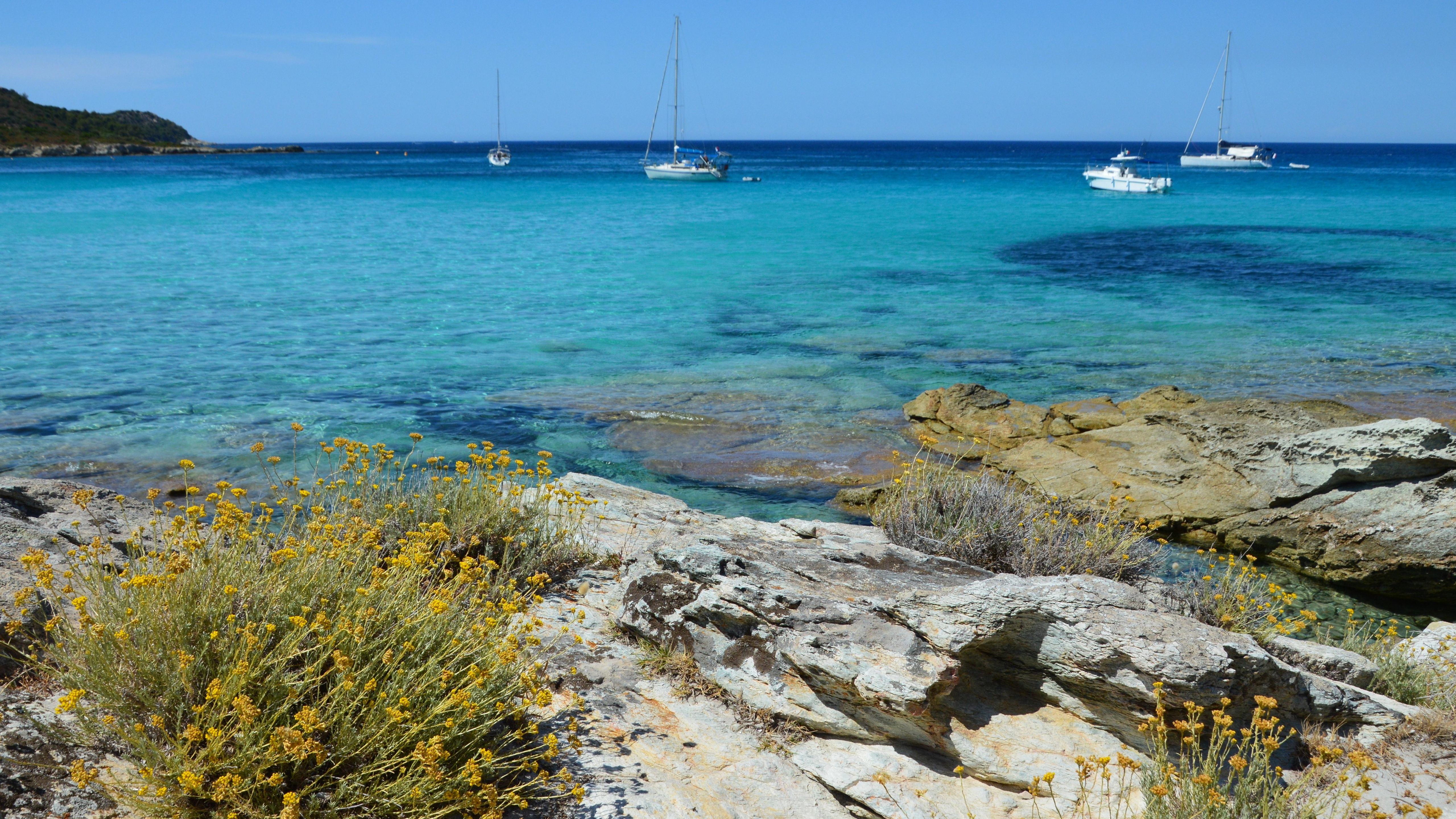 The Yellow Slip Process in Cyprus, Step by Step — illustrasjonsbilde