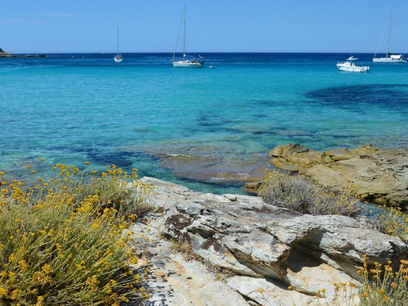 The Yellow Slip Process in Cyprus, Step by Step — illustrasjonsbilde