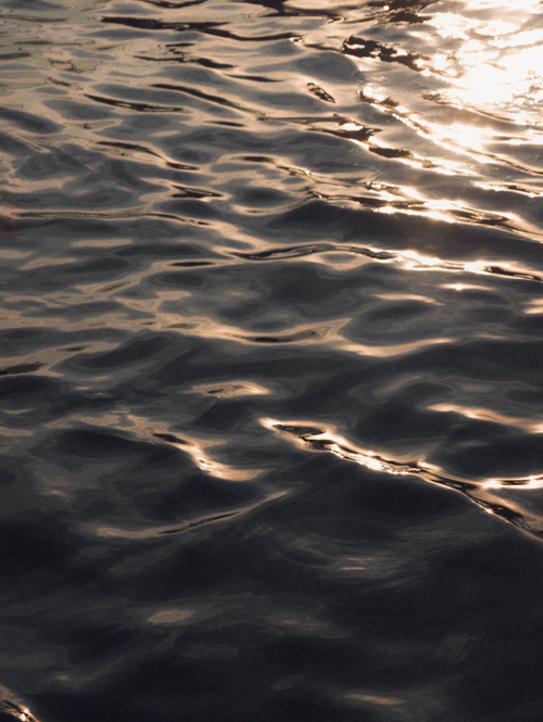 Free Serene water surface with sunlit ripples reflecting golden light in Vietnam. Stock Photo