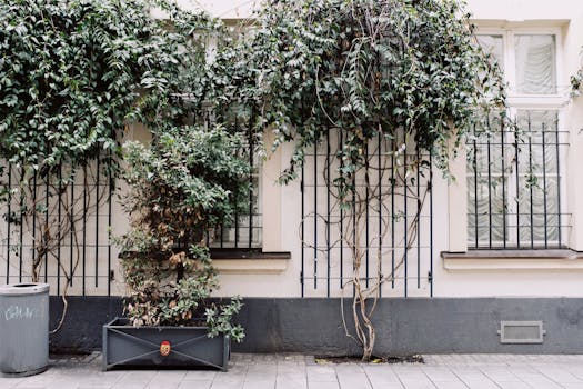 green climbing plants growing near wall of building on street in city