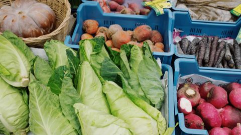 Various vegetables placed in plastic boxes on stall on market on street
