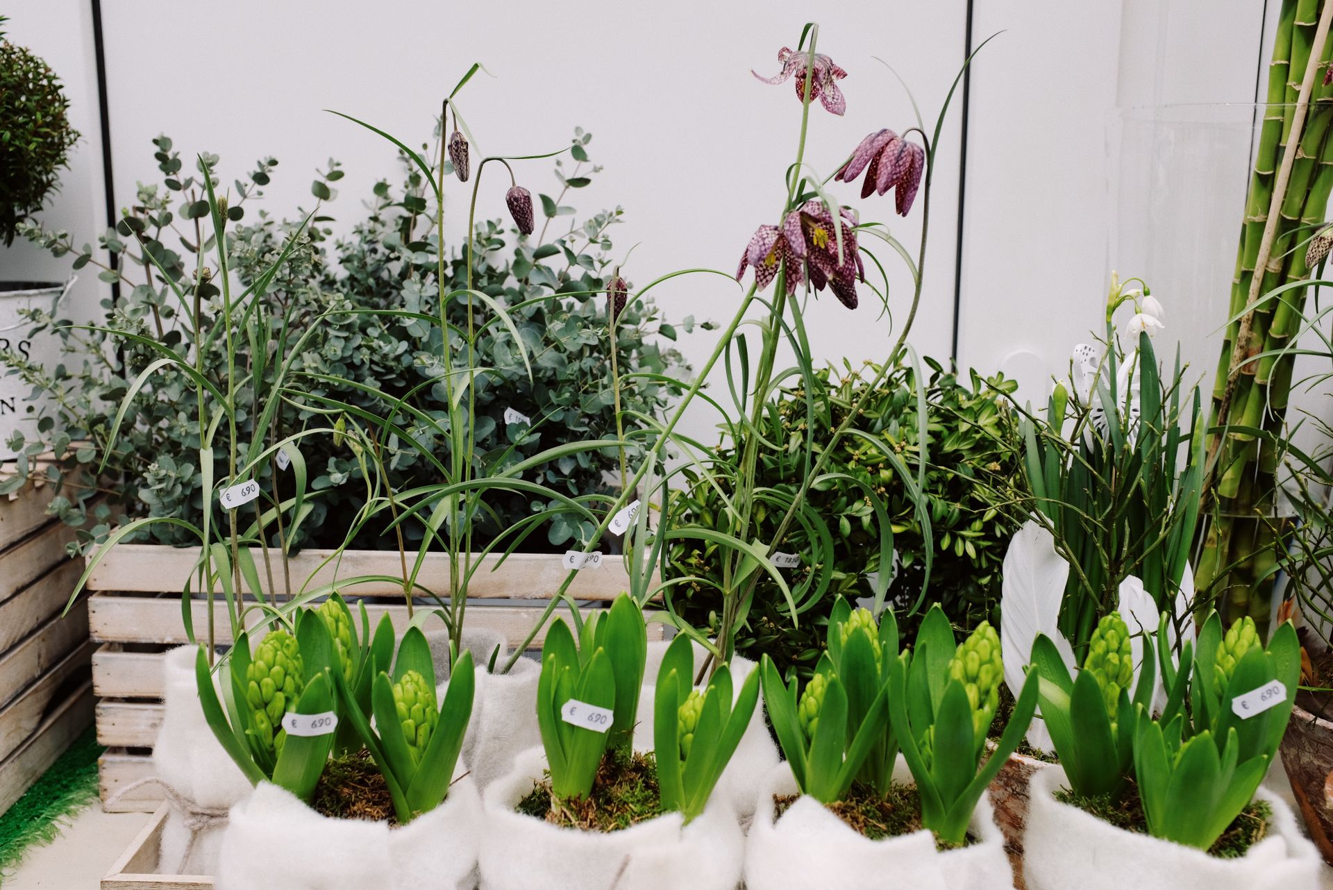A variety of potted plants displayed in an outdoor garden shop, showcasing greenery and floral diversity.