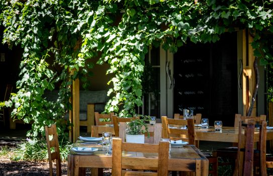 Rustic outdoor dining setup in a leafy garden setting in Cape Town, South Africa.