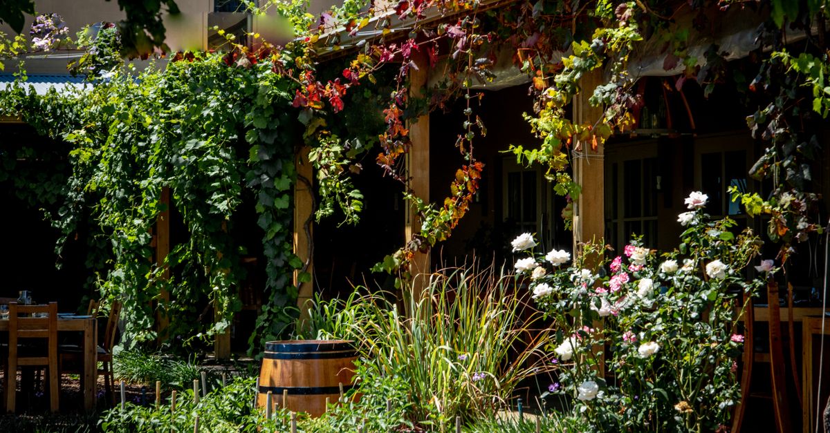 Afgedekte regenton in een tuin met fijn gaas bij de opening