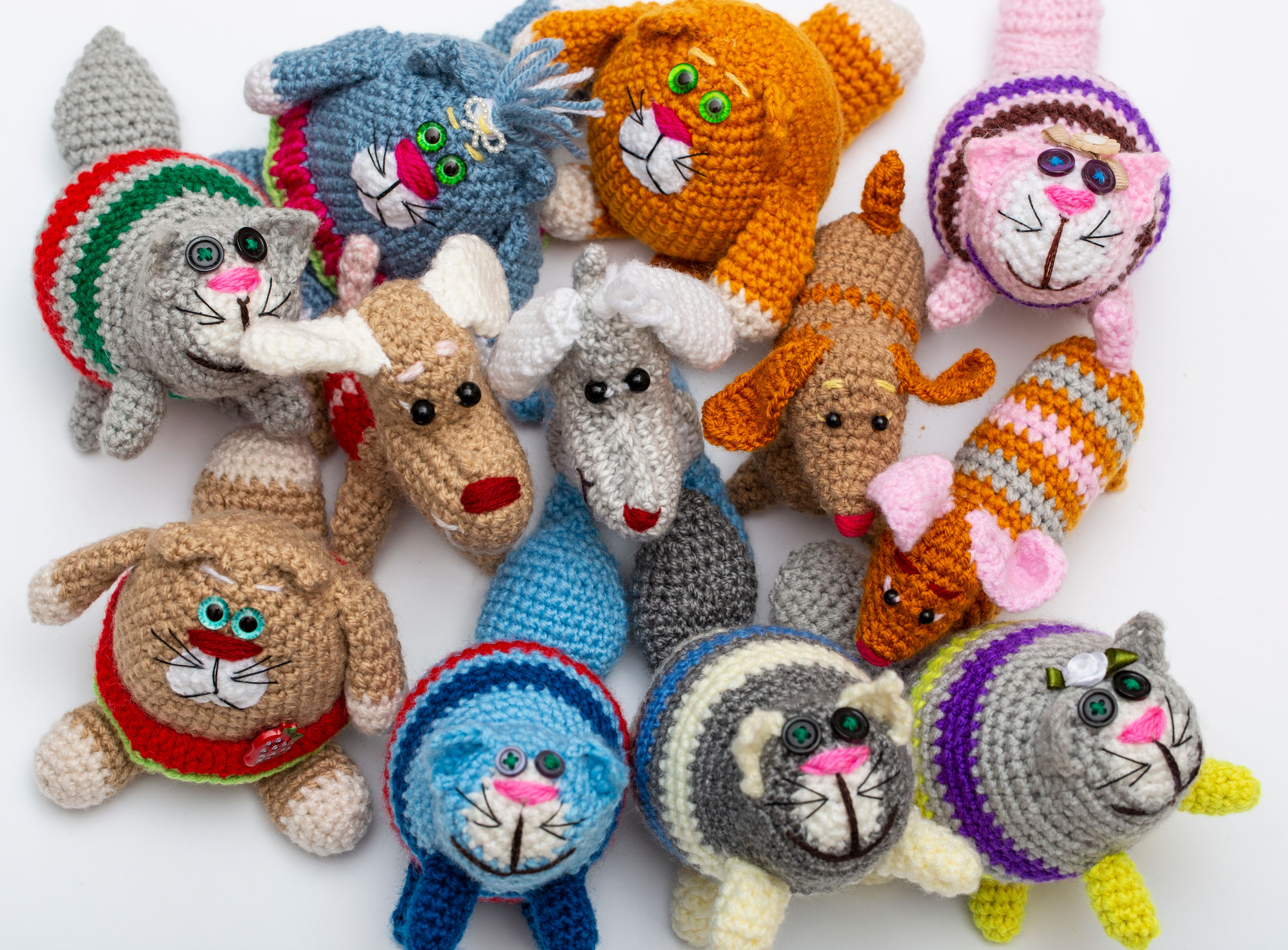 bulk dog and cat toy suppliers