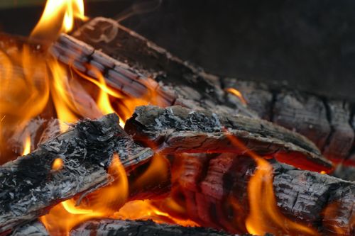 Free Detailed view of burning firewood with bright flames and embers. Stock Photo