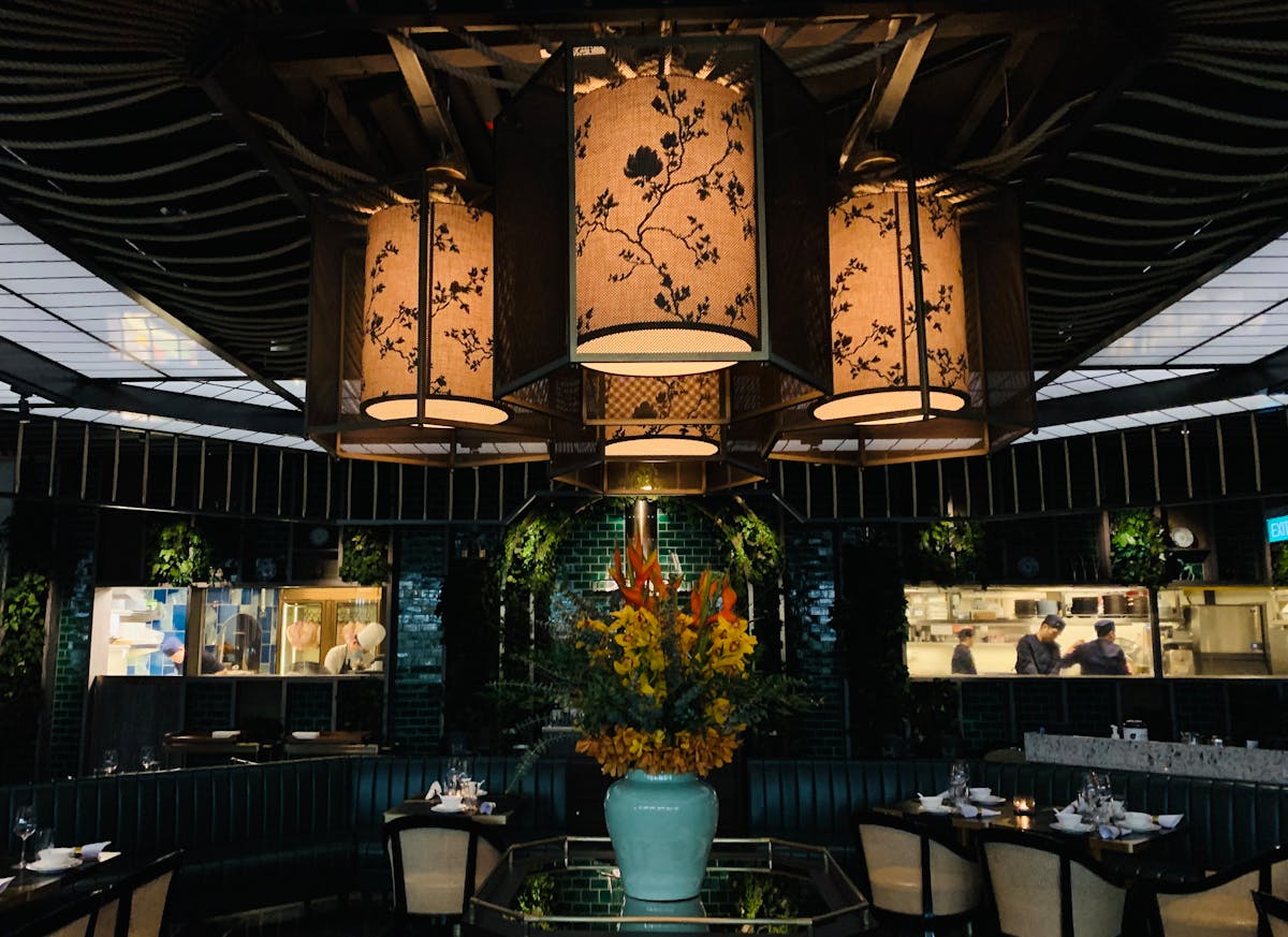 Acropora Frag – Neon Green