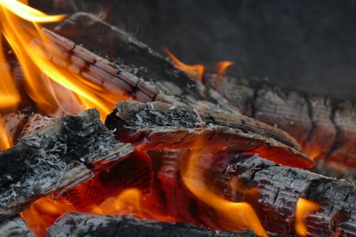 Free Detailed shot of burning wood logs in a fire with vibrant flames. Stock Photo