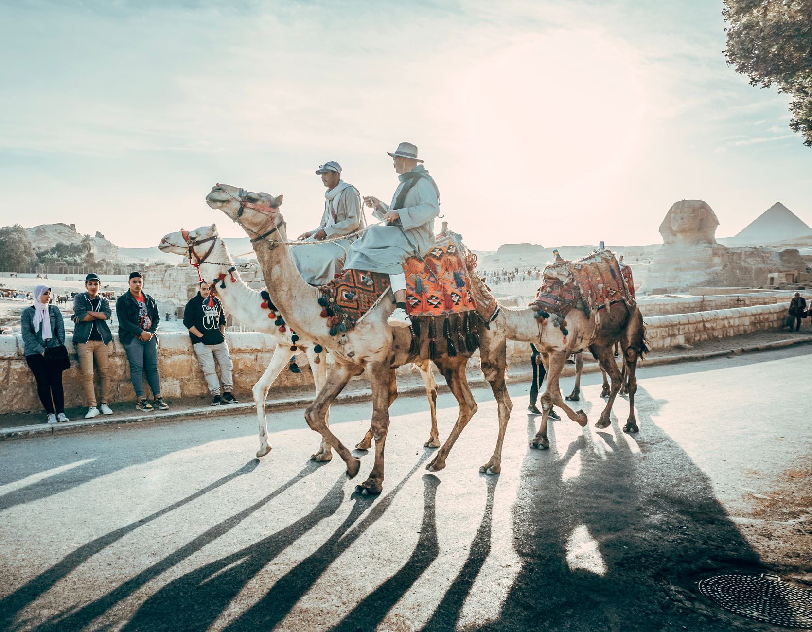 Majestic Cairo: A Journey Through Time and Taste — trip cover