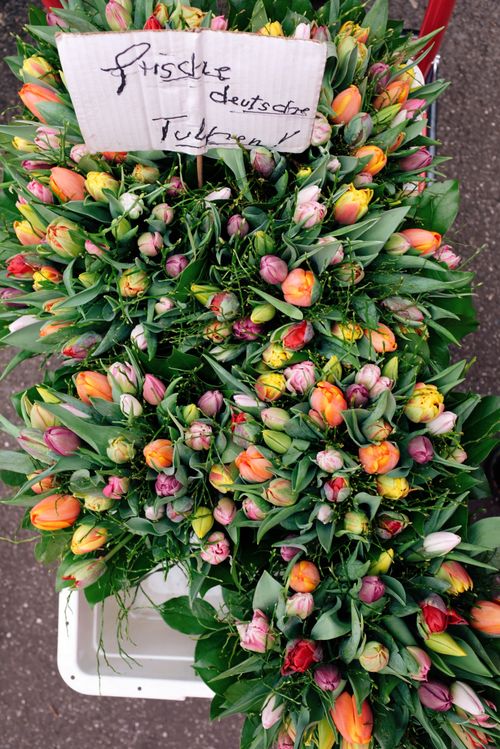 Free Vibrant display of fresh German tulip bouquets on a market street. Stock Photo