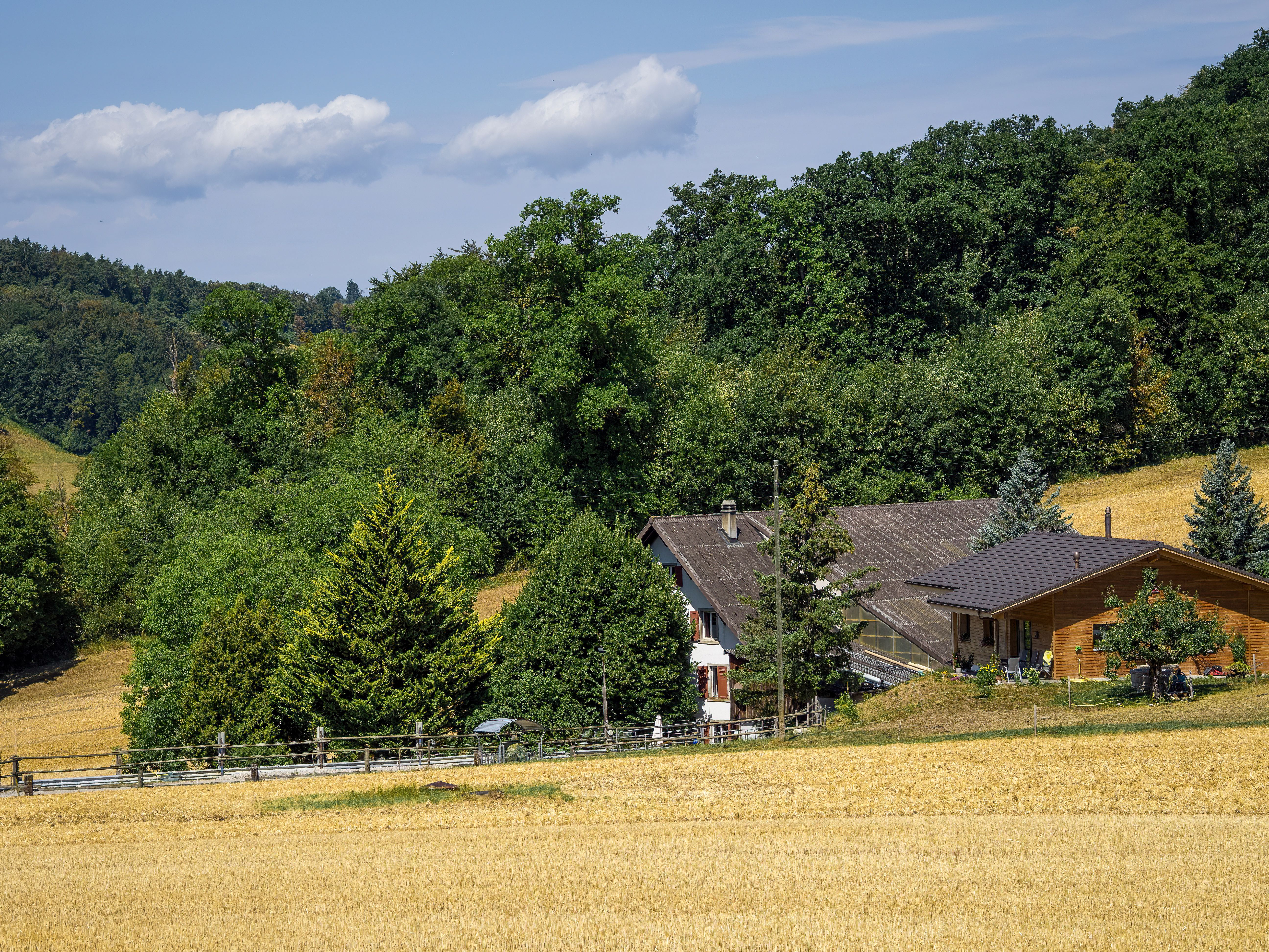 Hinterbliebenenpension