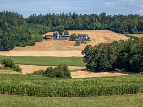 Free Beautiful rural farm scenery with lush greenery and expansive fields. Stock Photo