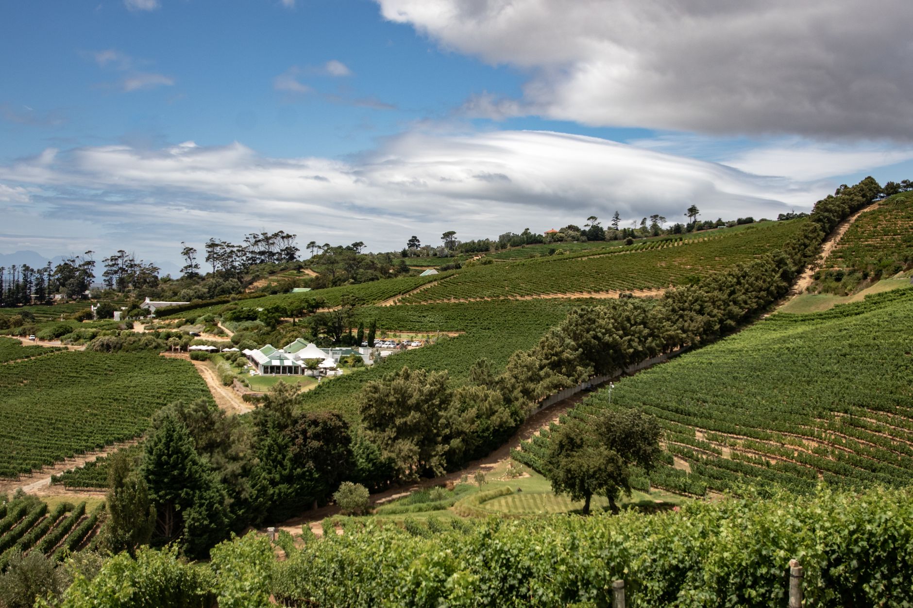 Breathtaking view of lush vineyards under a vibrant sky in Cape Town's countryside.