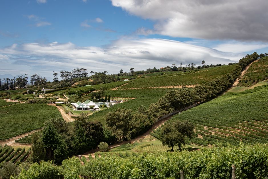Wine tasting in the beautiful Stellenbosch region of South Africa