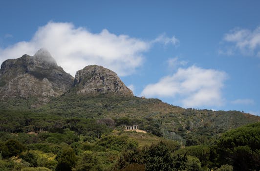 Beautiful view of Table Mountain with lush greenery under a clear blue sky in Cape Town, South Africa.