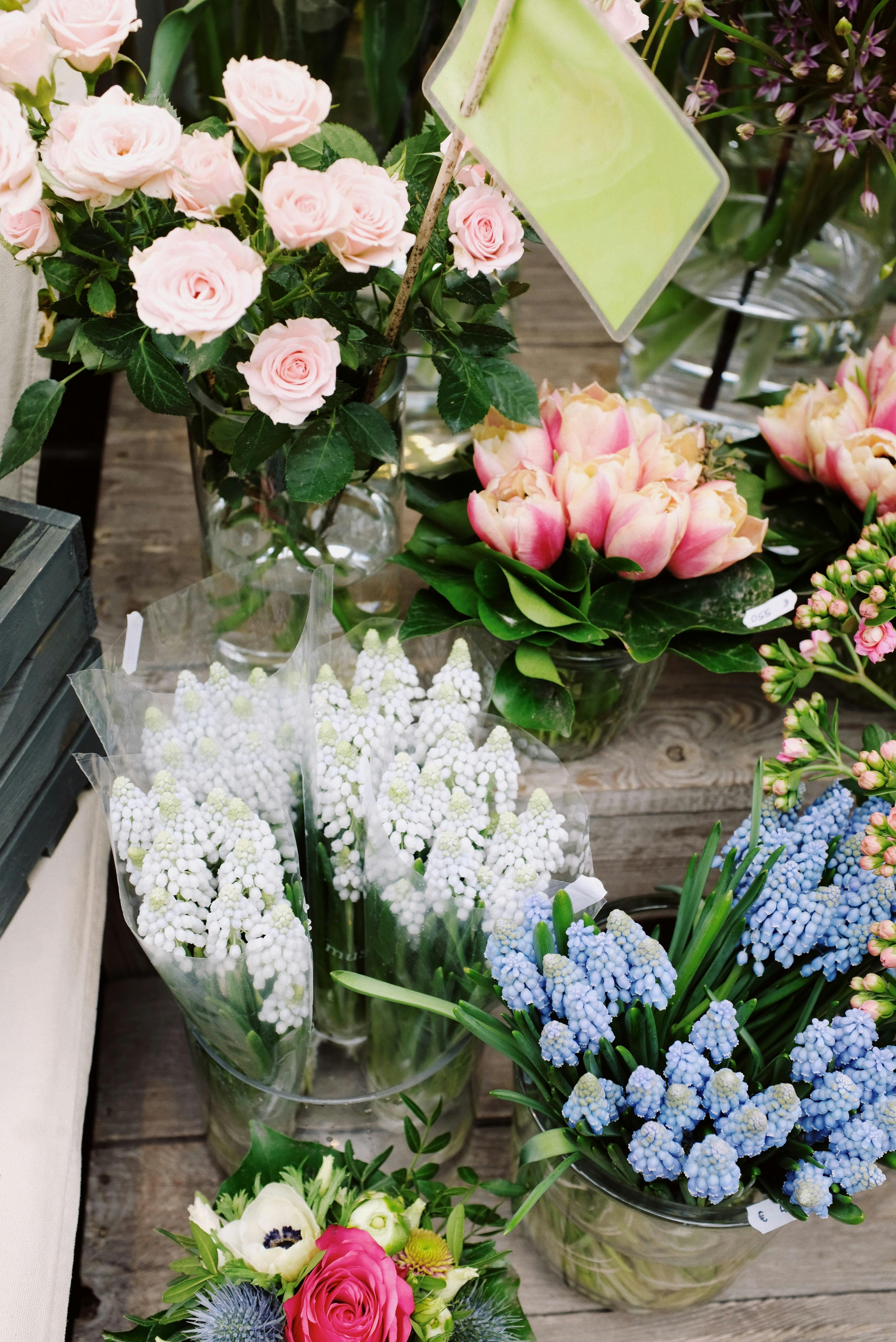 Various fresh flowers for sale in flower shop · Free Stock Photo
