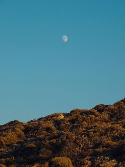 Free Scenic view of a desert landscape with the moon visible in the dawn sky, creating a serene atmosphere. Stock Photo