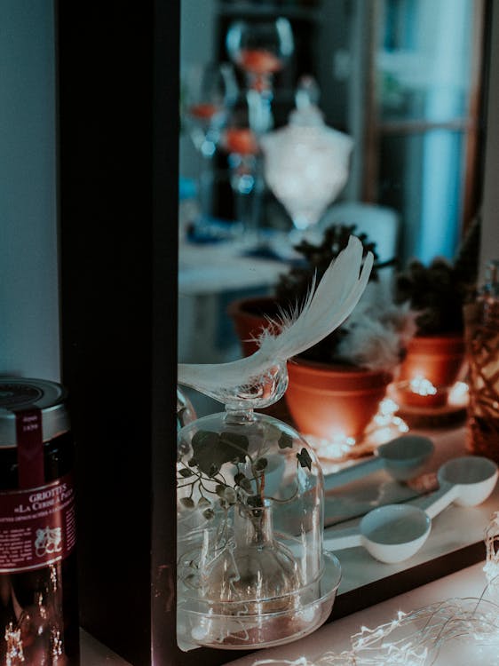 Free Glass vase and potted plants on shelf Stock Photo