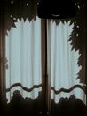 Window covered with white curtains at night