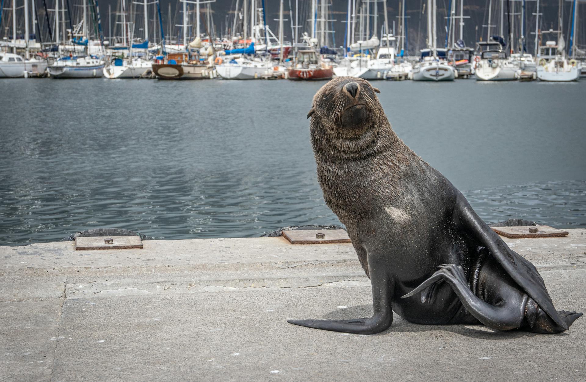 Seal on the Concrete Floor