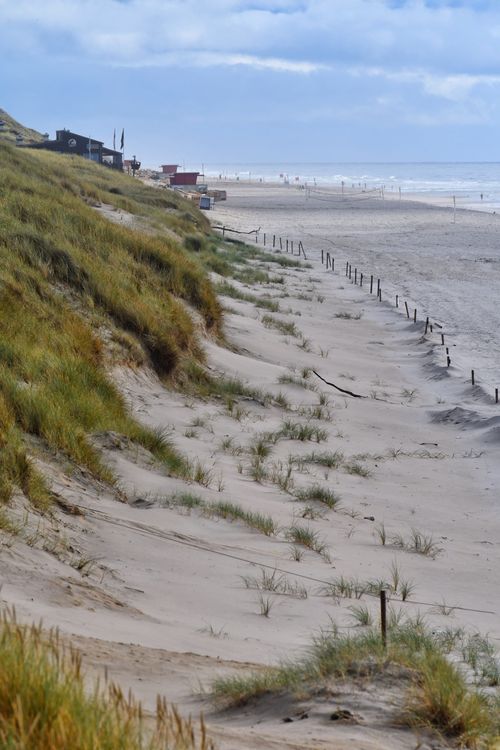 Free Idyllic beach dunes with ocean waves, capturing serene coastal landscape. Stock Photo