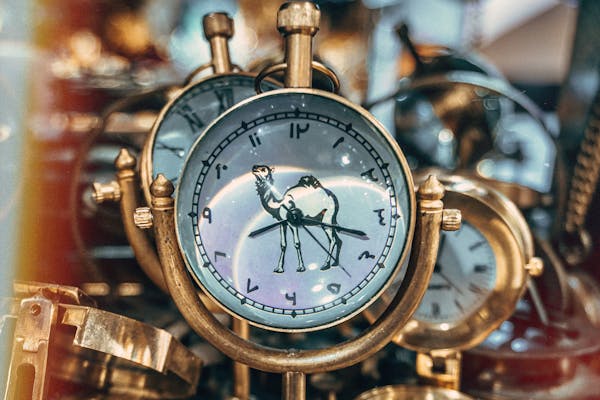 Langha community dancers Rajasthan