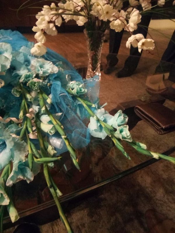 Puppet dance theatre troupe Rajasthan