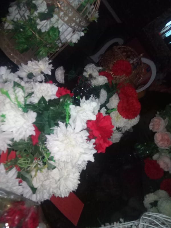 Shankar Dev dance Rajasthan