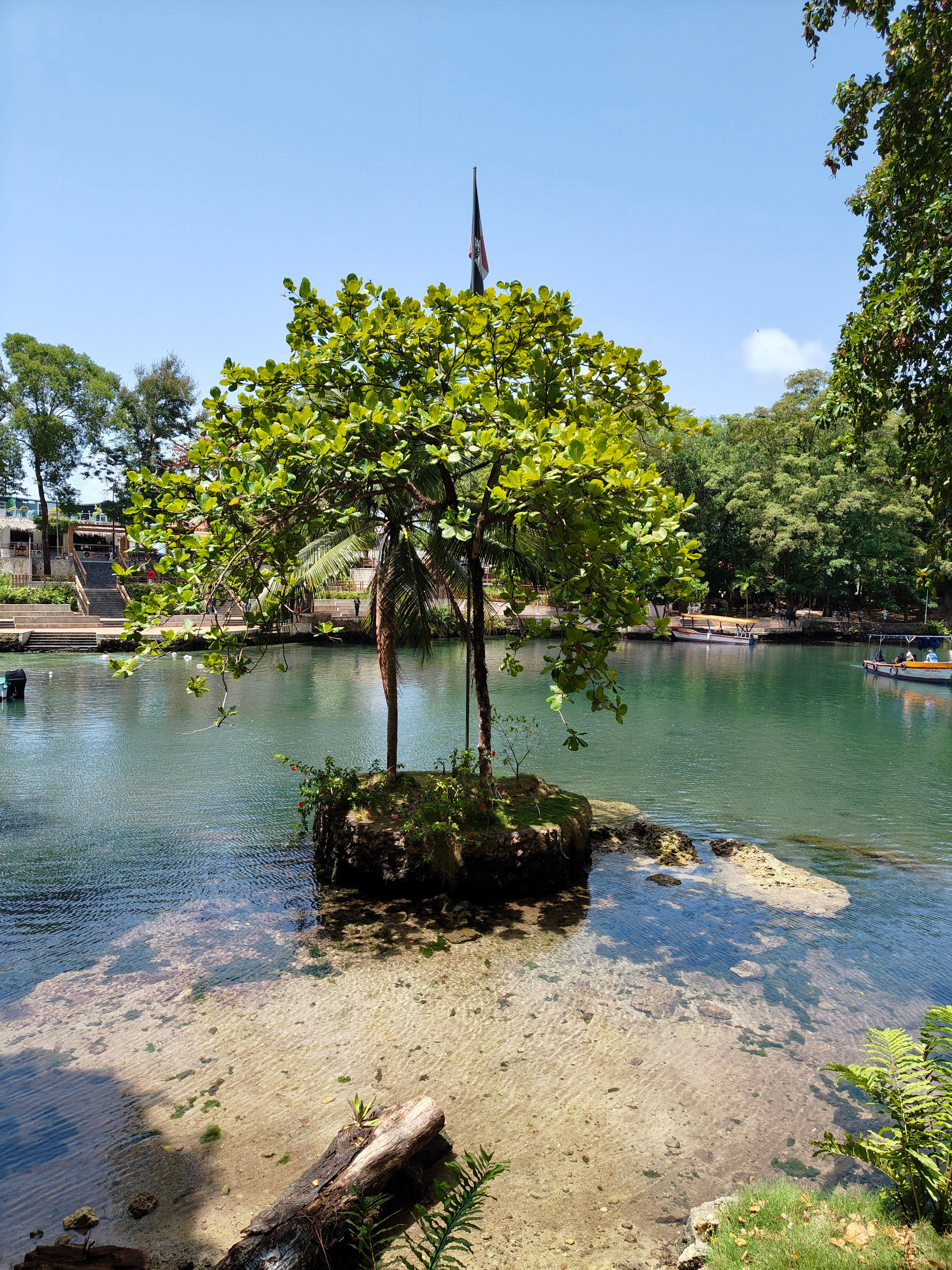 Lush green tree on a small island in Rio San Juan, surrounded by tranquil water, under clear skies.