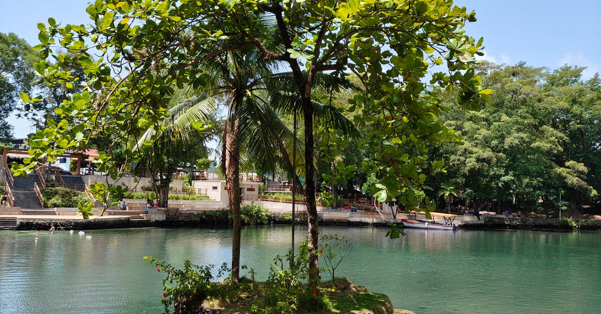 Los ecosistemas acuáticos más emblemáticos de la República Dominicana Los ecosistemas acuáticos más emblemáticos de la República Dominicana