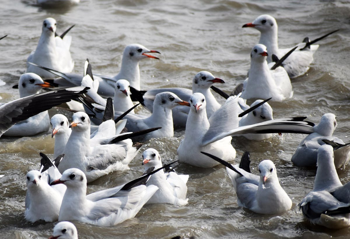 Person holding reusable containers and bags for low-waste shopping