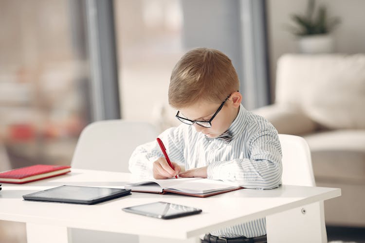 Clever Little Student Writing In Notebook While Studying At Home