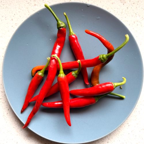 Free A collection of vibrant red chili peppers arranged on a blue plate. Stock Photo