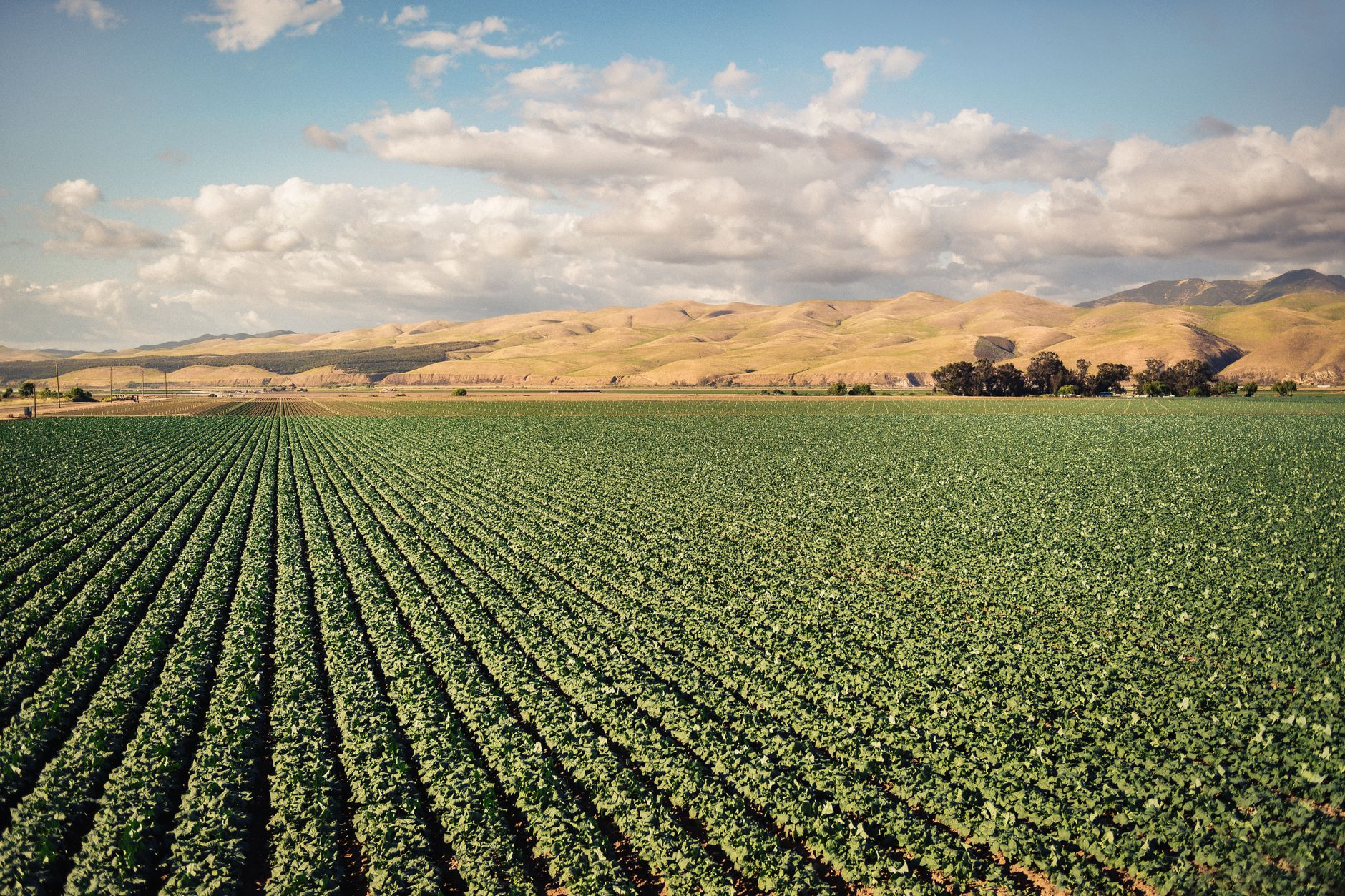 The agricultural heartland of California's San Joaquin Valley accounts for a disproportionate share of the state's cardiovascular deaths, according to CDC and CDPH mortality data.