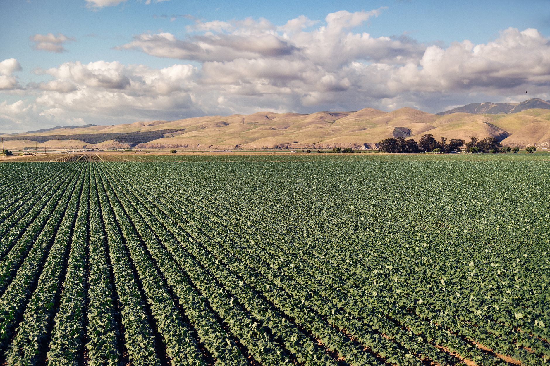 California Central Valley
