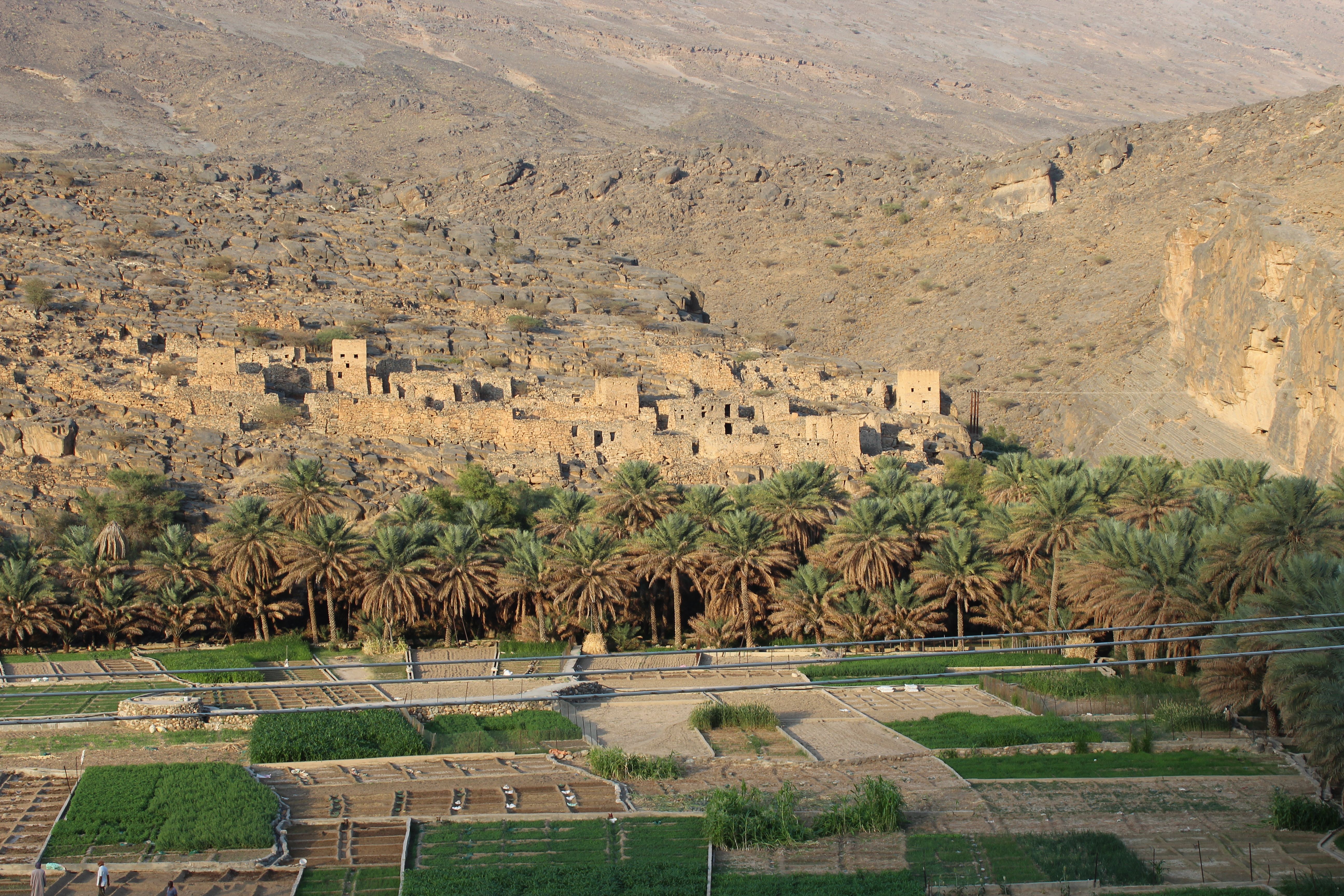 Explore the rugged beauty of ancient ruins and palm-lined oasis in Oman's mountainous landscape.