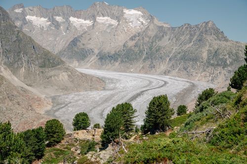 Free Scenic landscape of the Aletsch Glacier surrounded by towering mountains and greenery under a clear blue sky. Stock Photo