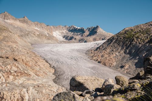 Free Scenic panoramic view of the Aletsch Glacier in Switzerland under a clear blue sky. Stock Photo